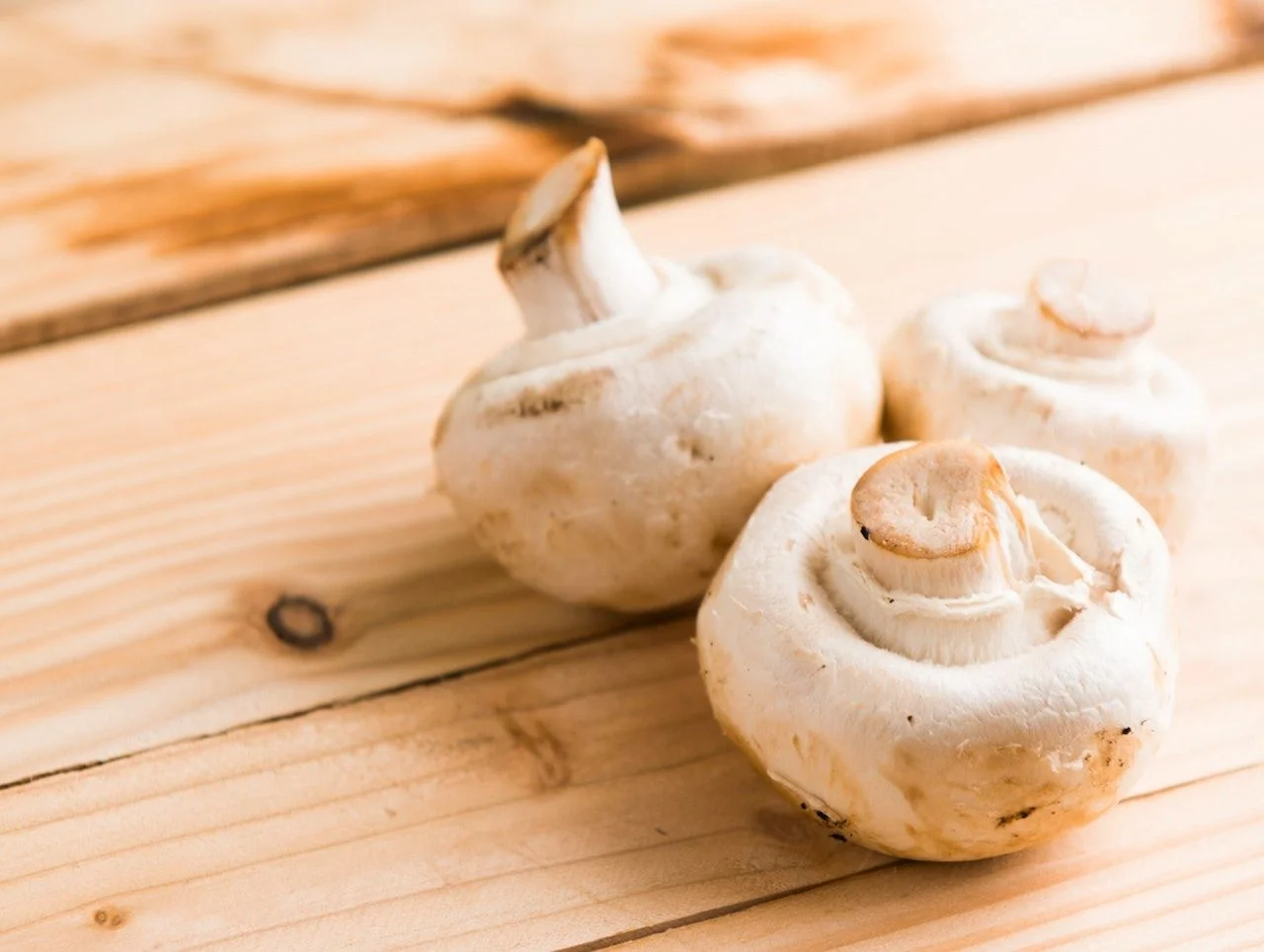 Paddenstoelen eten. Hoelang kun je champignons bewaren?