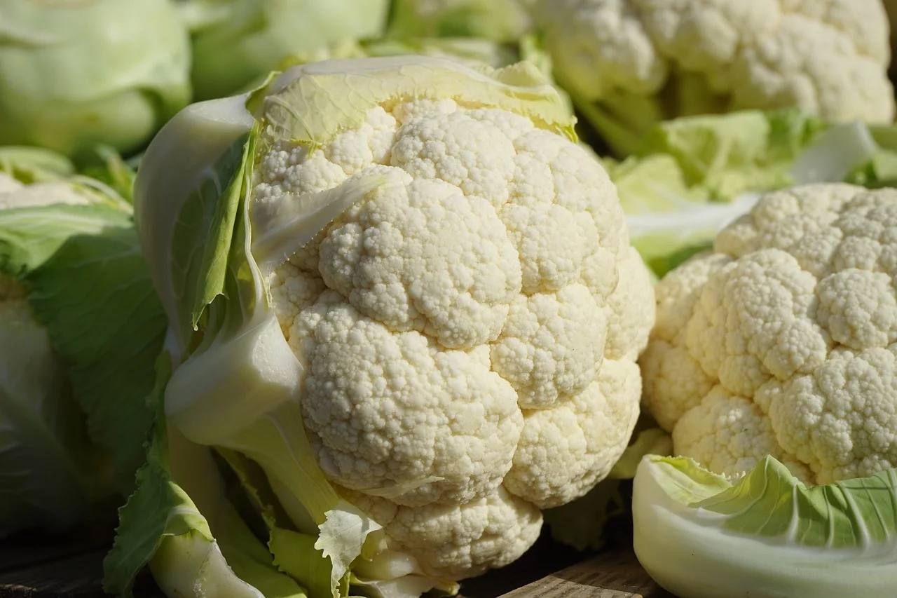 Mogen honden bloemkool eten